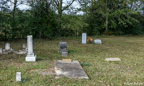 cemetery us unitedstates alabama monroecounty repton larrybell oldstageroad larebel larebell hallkingfamilycemetery