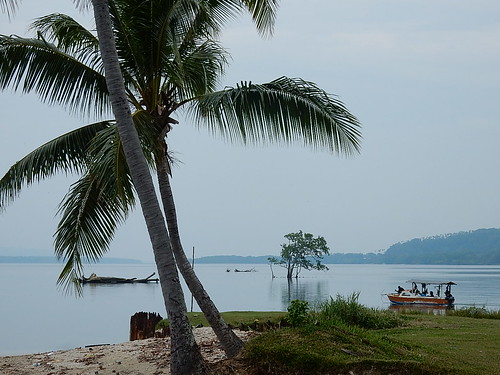 espiritusanto santo luganville boat palmtree harbor harbour