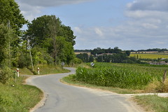 Double zigzag - Photo of La Tour-Blanche