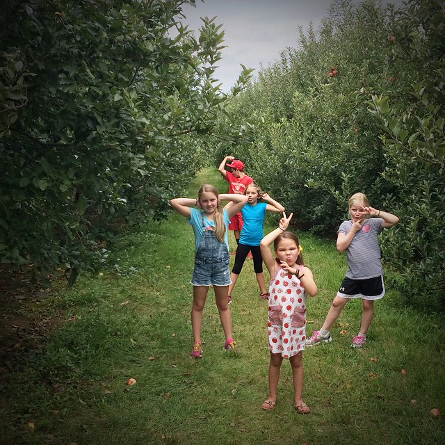 Apple picking 2015