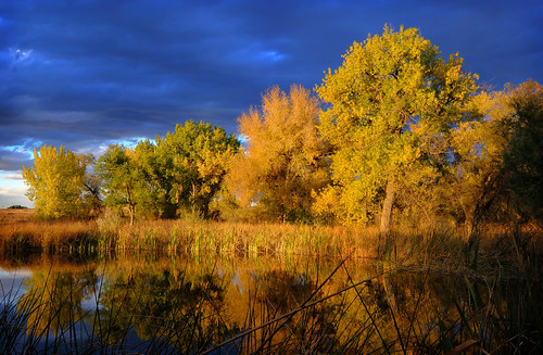 fuji fujifilm xt2 velvia landscape colorado coloradosprings coloradolandscape color autumn fall sunset trees