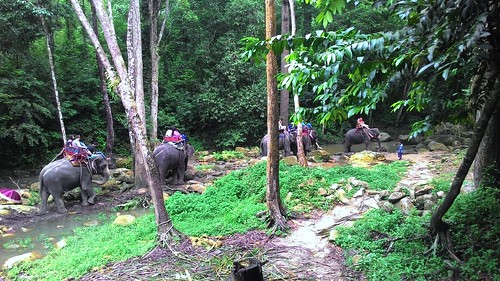 今日のサムイ島 ナムアンの滝1 象トレッキング