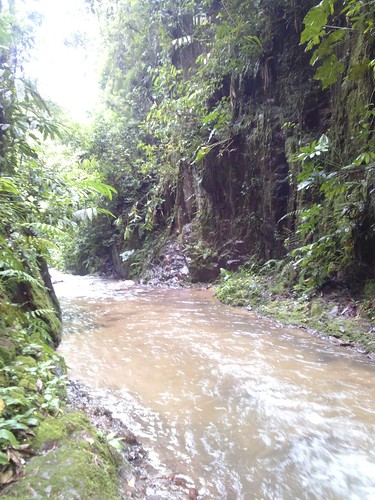 rio forest trekking river waterfall selva perú jungle caminata catarata junín lamerced 2015 chanchamayo selvacentral selvaalta