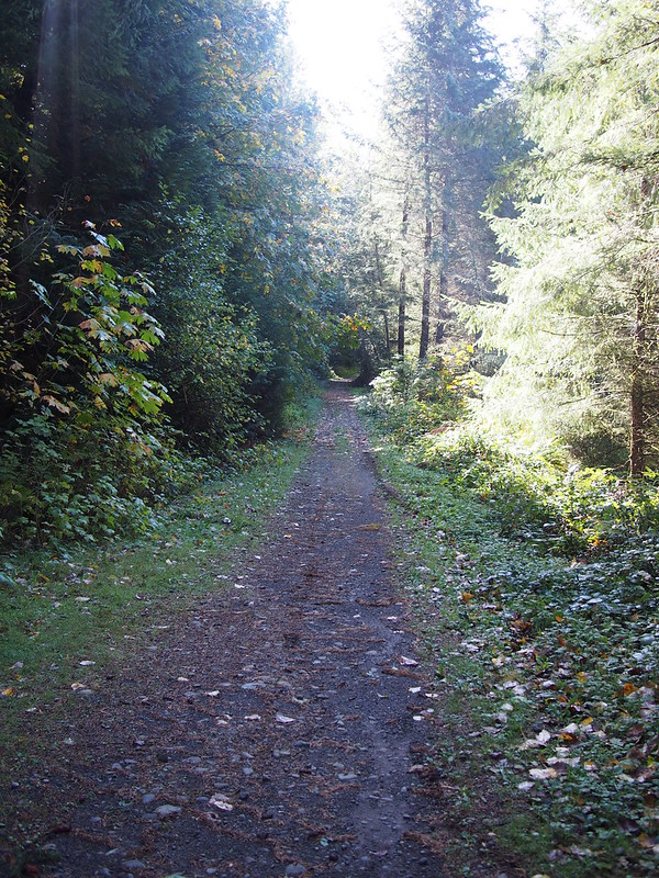 Foothills Trail Branch: Unlike the main section between Puyallup and Buckley, this section will likely never be 'improved' as it's rather 'out there.'  It ends at the ghost town of Melmont.