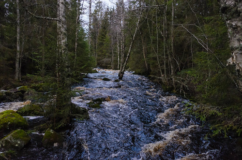 nature finland nikon fi ylöjärvi pirkanmaa riuttaskorpi suutarilankoski