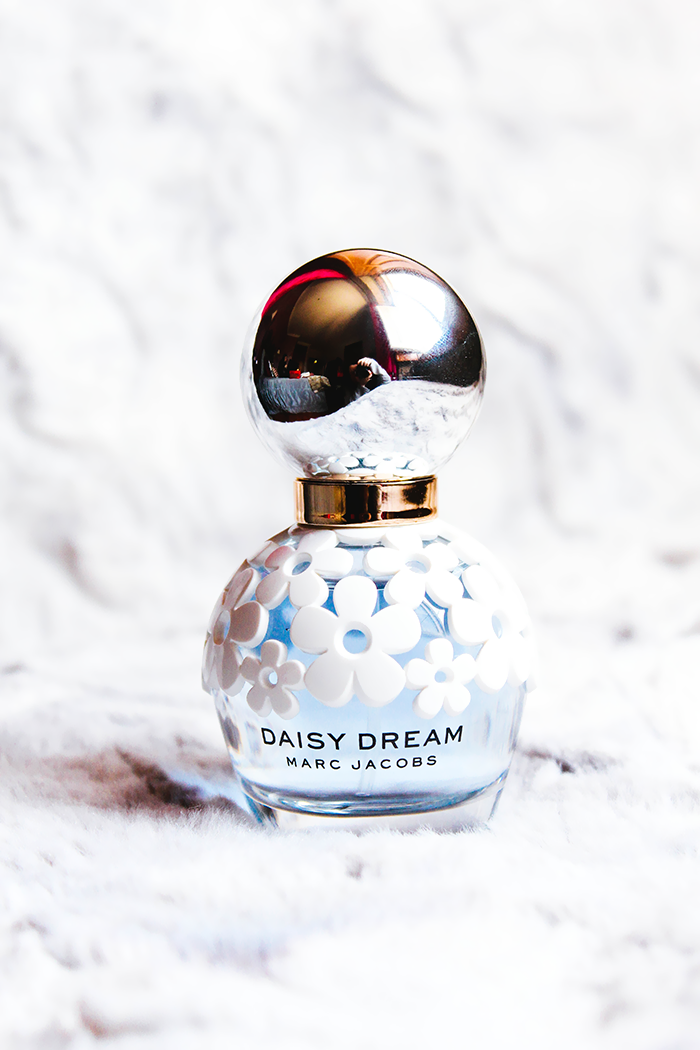Daisy Dream 5