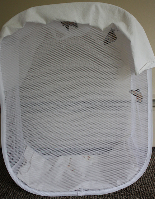 mesh laundry hamper with three butterflies