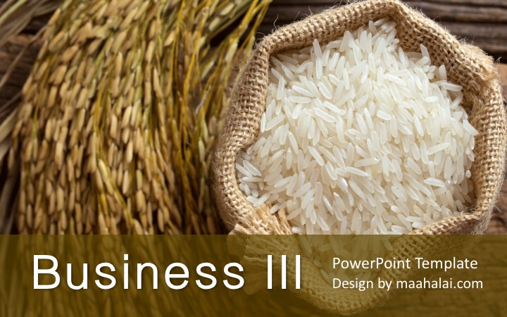 PowerPoint Theme Business III