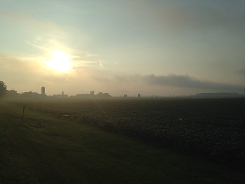 morning mist ontario canada london fog sunrise countryside haze farm country farmland crops woodstock cropland
