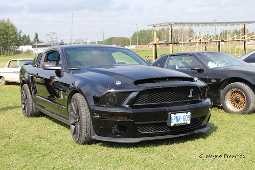 ontario canada ford canon cobra shelby mustang musclecar matheson northernontario prout gt500 highperformance canoneos60d blackrivermatheson geraldwayneprout mathesonfairgrounds antiquesautoshow 2015mathesonfallfair 2008fordmustangshelbycobragt500