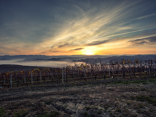 red panorama orange sun yellow sunrise landscape wine panoramica cuneo piedmont vite barolo lamorra vigna
