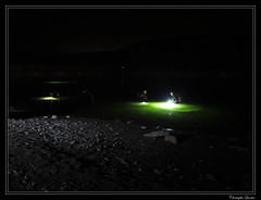Plongée de nuit à Grosbois - Photo of Avosnes