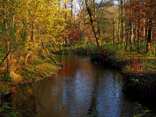 autumn tree water river geotagged deutschland wasser herbst fluss baum deu schleswigholstein wildparkeekholt heidmühlen geo:lat=5395085525 geo:lon=1003300000