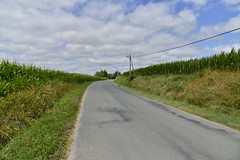 Route entre lignes de végétation - Photo of Verteillac