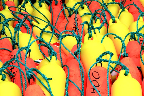 orange canada abstract yellow closeup colorful rope newbrunswick buoys lobsterseason