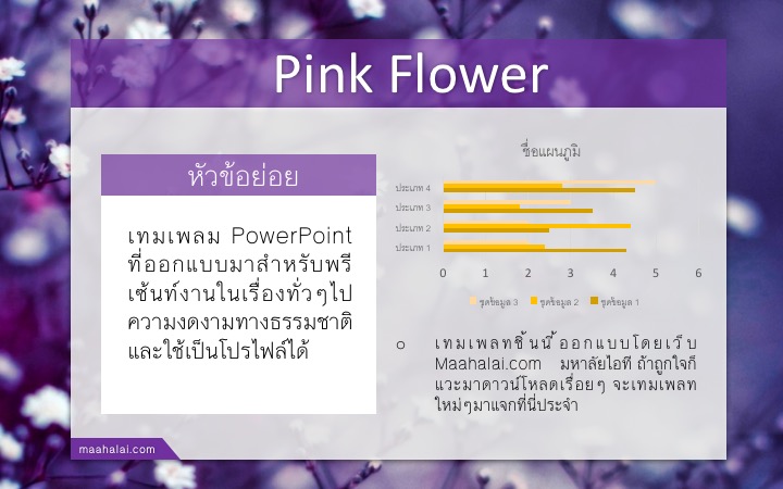 PowerPoint Purple Theme