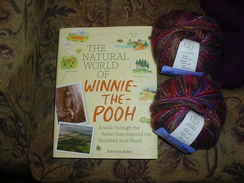 shawl yarn and book