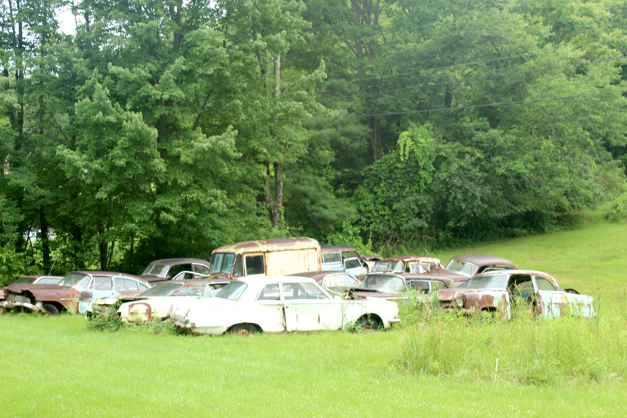 car graveyard 13
