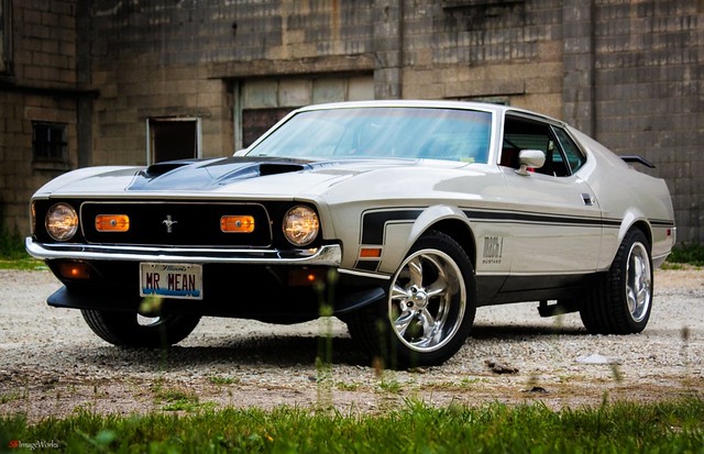 another random Mustang pic....