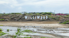 Williwood sign