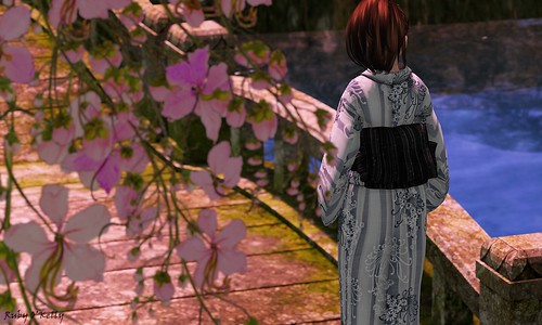 Sakka-Late summer kimono for CCB3 (2)
