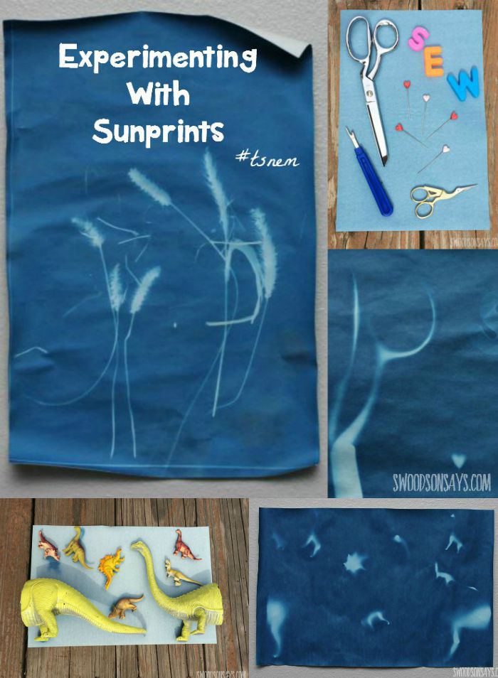 Experimenting with Sunprints - A cool paper that dyes in the sun, great for kids crafts and nature play! Swoodsonsays.com