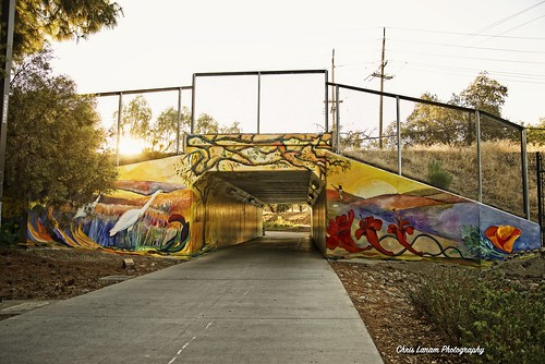 morning sunrise street art streetart davis daviscalifornia ucdavis