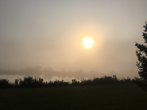 fog sunrise pond