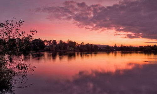 sunset lake water reflections gold golden still twilight pond peaceful hampshire serene petersfield ongoldenpond petersfieldlake butserhill wateryreflections sonya7r langstonejoe