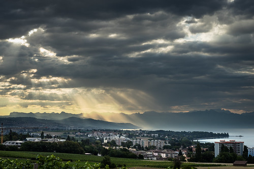 sunrise earlymorning lausanne vineyards morges