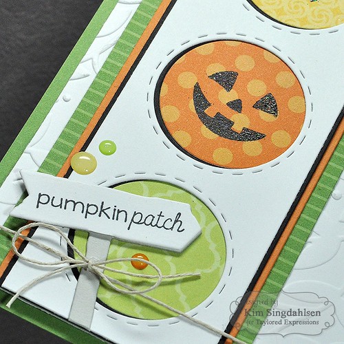 Pumpkin Patch CloseUp