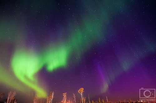The Aurora is so insanely awesome. #naturerules #yycphotographers #yyccreative #nature #nightsky #aurora #auroras #auroraboreal #theellenshow #nightscape #miracleoflight #woodbuffalo #christyturnerphotography