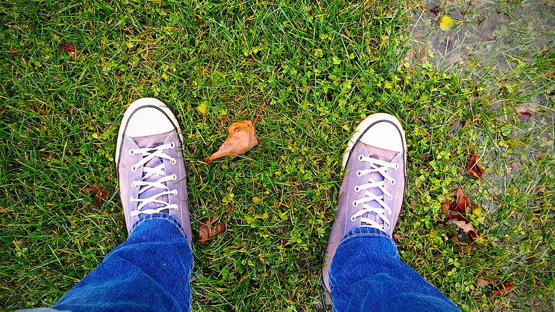 345/365. the grass is green in the middle of december?!