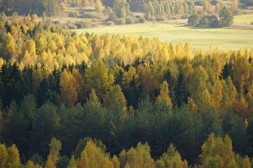 beautiful wow colorful europe estonia aerialview special eesti estland photoimage sooc sonyalpha tartumaa lightlayers sonyα geosetter geotaggedphoto nex7 sel18200 фотоfoto year2015