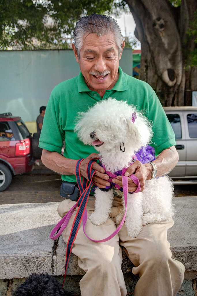 Dog Lover, Jalatlaco