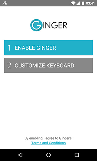 Ginger Keyboard