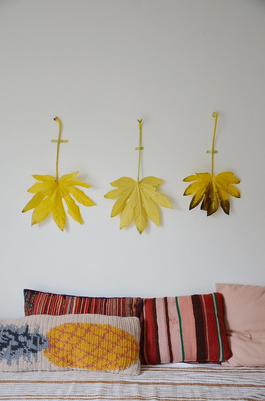 yellow leafs