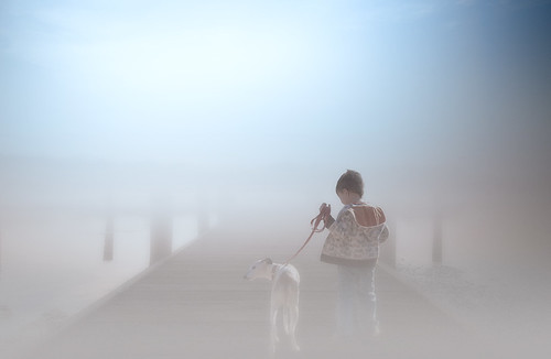 morning boy people dog ny art misty fog walking landscape pier dock nikon foggy longisland explore dreamy smithtown 2015 d610 1635mm 4000000views wowographycom lightroom6 3948974 justycinmd