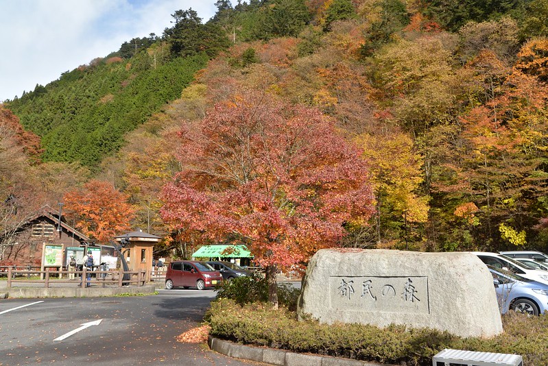 Tokyo reporter 島旅 & 山旅 2016年秋 檜原村＆奥多摩町 2016年11月15日