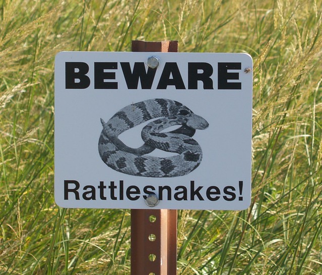 Beware Rattlesnakes!