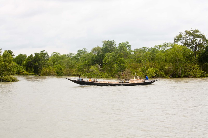 Boat on the River - Sundarban, India