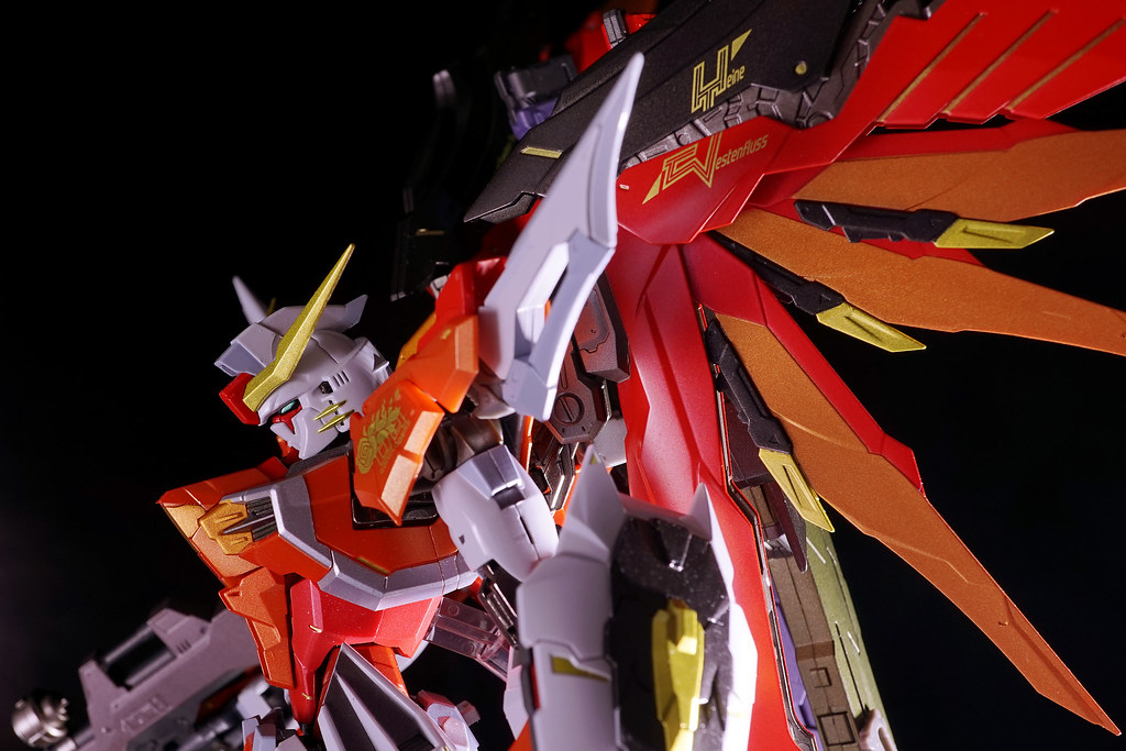 METAL BUILD デスティニーガンダム(ハイネ機) | Destiny Gundam Heine 