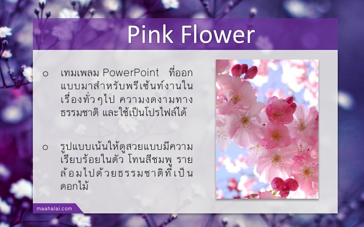 PowerPoint Purple Theme