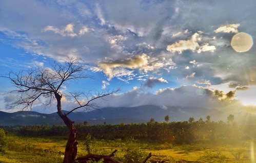 trip sunset sun india mountains tree clouds landscape photography nikon scenery bangalore monsoon western greenery farms karnataka weekendtrip picturesque westernghats ghat landscapephotography chikmagalur incredibleindia d5300