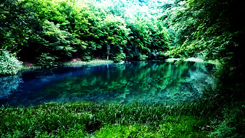 lake reflection green water serbia peaceful serene srbija vrelo servia refleksija grza paracin vrelogrze