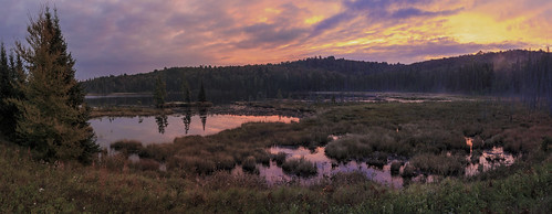 morning panorama landscape wideangle algonquinpark