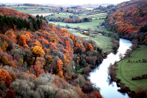 autumn tress forest dawn sunrise colours fall river landscape countryside english gloucestershire view nature outdoors adventure beauty