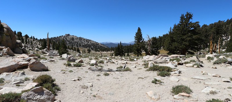 Looking west from Cottonwood Pass where the trail meets the PCT
