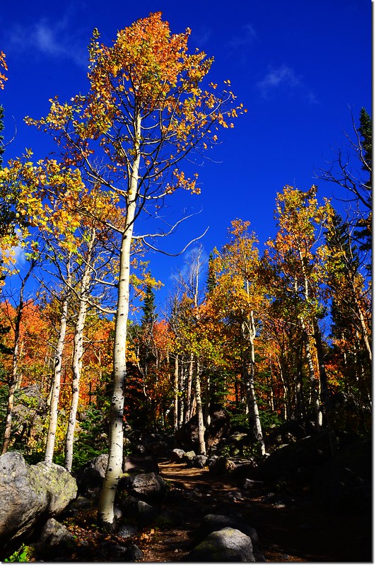 2015 Rockies in Fall, Bear Lake Area (12)