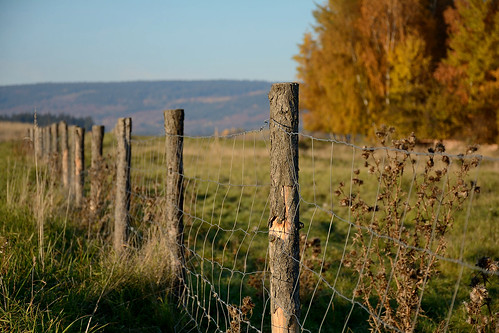 autumn fence landscape nikon d7100 nikond7100 velkáhleďsebe